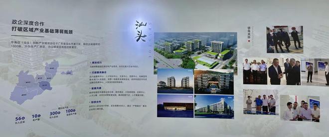 中新鸿泰最新动态深度解析与观点阐述
